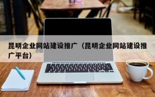 昆明企业网站建设推广（昆明企业网站建设推广平台）