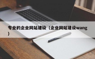 专业的企业网站建设（企业网站建设wang）